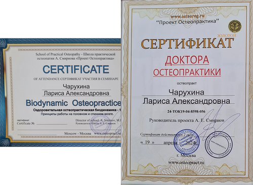 мои сертификаты и дипломы сертификаты и дипломы